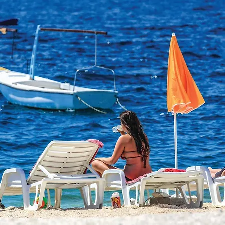 Tatil Evi Liveja Ii Iv *